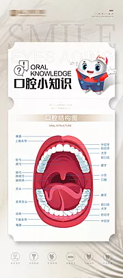 素材能量站-口腔结构图