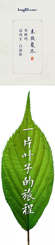 素材能量站-立秋节气海报