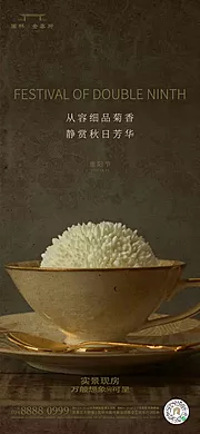 素材能量站-重阳