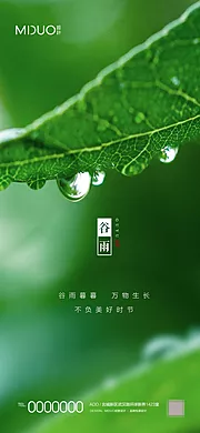 素材能量站-谷雨节气海报