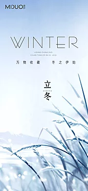 素材能量站-立冬节气海报