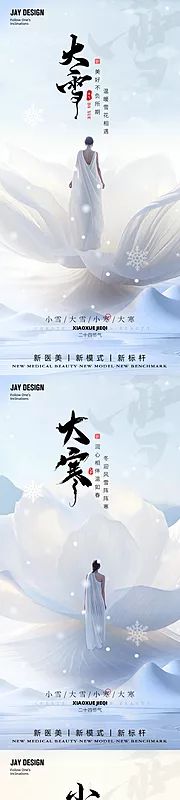 素材能量站-大雪小寒大寒节气海报