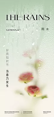 素材能量站-雨水节气海报