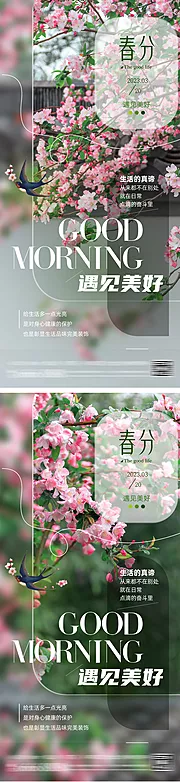 素材能量站-春分桃花节气海报