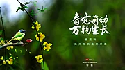 素材能量站-春雷万物生