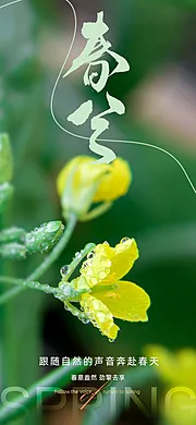 素材能量站-春分节气海报