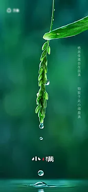 素材能量站-小满节气海报