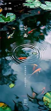 素材能量站-谷雨节气海报