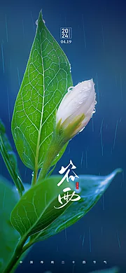 素材能量站-谷雨节气海报