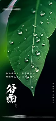 素材能量站-谷雨节气海报