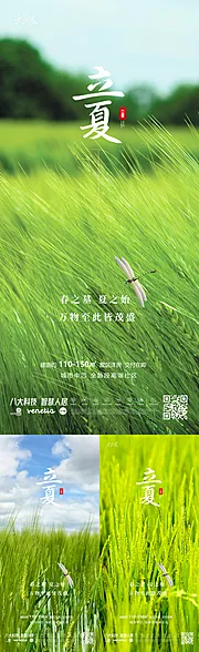 素材能量站-立夏系列海报