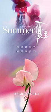 素材能量站-地产美业夏至节气海报