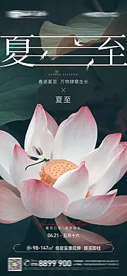 素材能量站-夏至荷花节气简约微信图海报