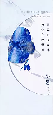 素材能量站-小暑唯美节气节日夏日插画海报