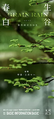 素材能量站-谷雨节气海报