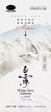 素材能量站-白露节气海报