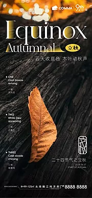 素材能量站-二十四节气立秋秋分落叶海报