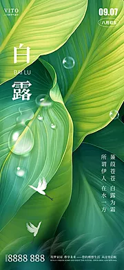 素材能量站-二十四节气白露节气海报