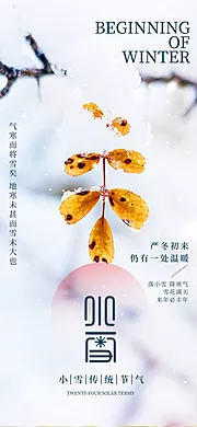 素材能量站-小雪海报