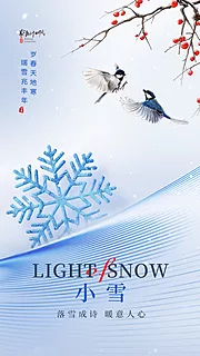 素材能量站-小雪海报