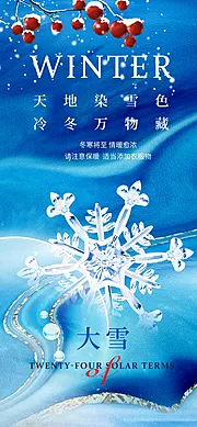 素材能量站-大雪节气海报