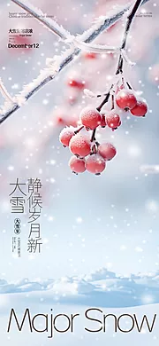 素材能量站-大雪节气海报