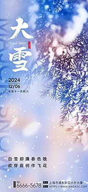 素材能量站-大雪节气海报