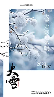 素材能量站-大雪节气海报