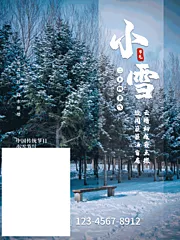 素材能量站-小雪节气海报 中华传统节日海报 雪景下雪卡通插画