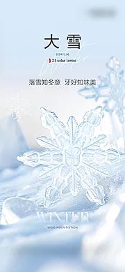 素材能量站-大雪节气海报